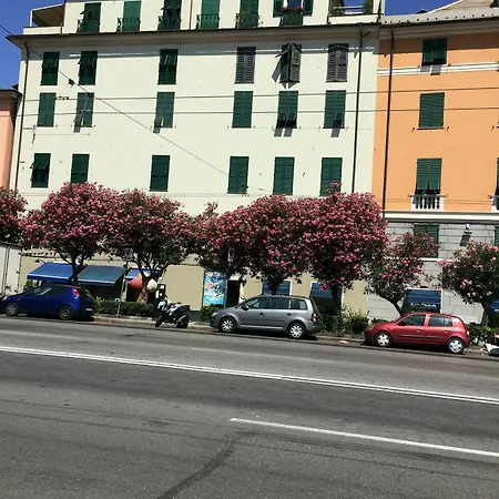 Ariadimare Genoa